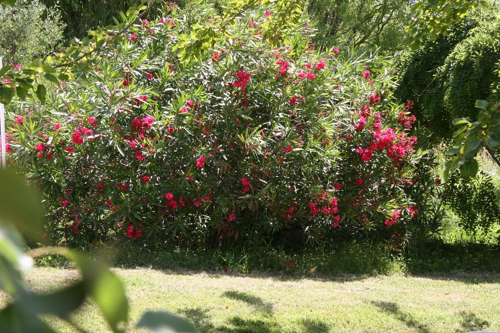 Villa Hanna Combas  ภายนอก รูปภาพ
